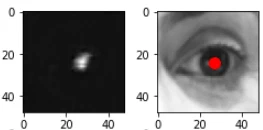 Human Iris Detection featured image